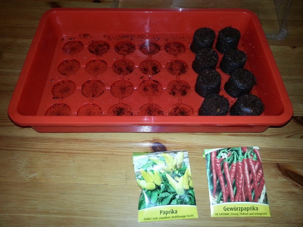 Mini Gewächshaus mit 8 Paprika - Aussaat